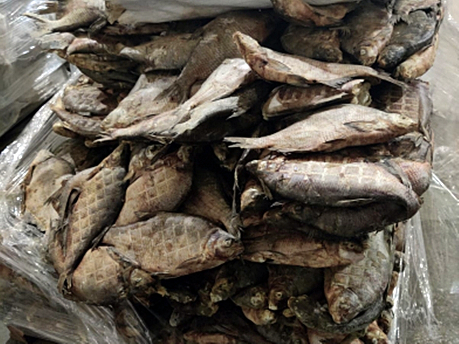 В Шахтах обнаружили нелегальный рыбный цех