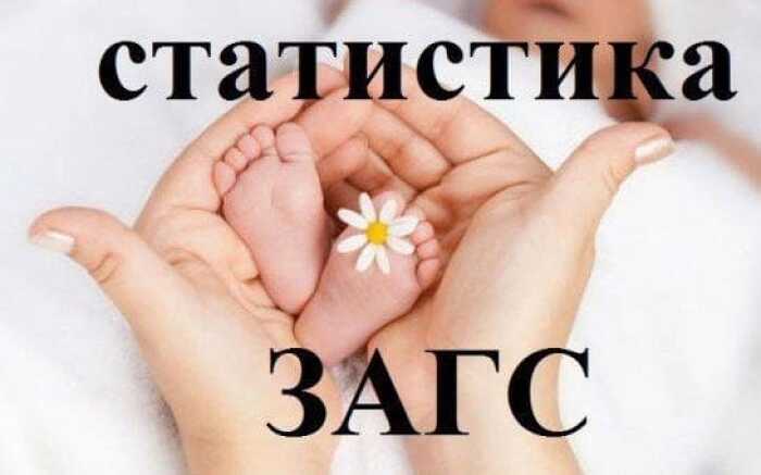 Сотрудники ЗАГСа снова поделились интересной статистикой