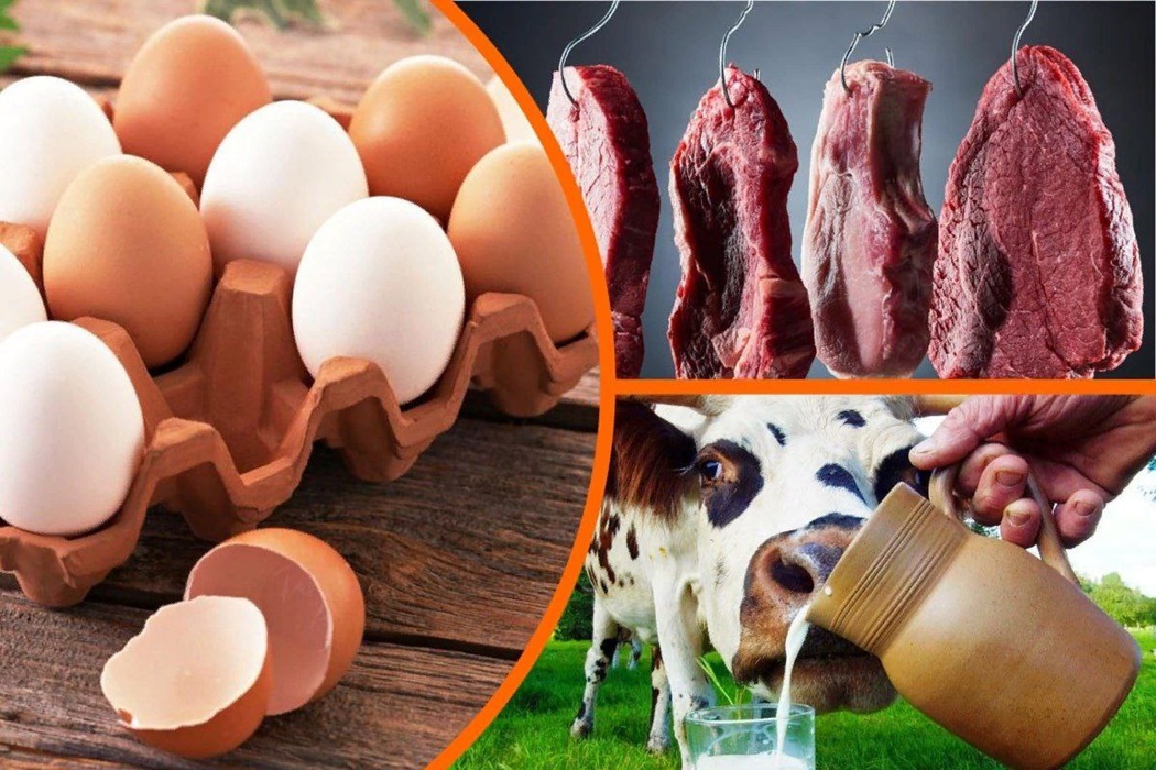 Произвели меньше мяса, молока, яиц